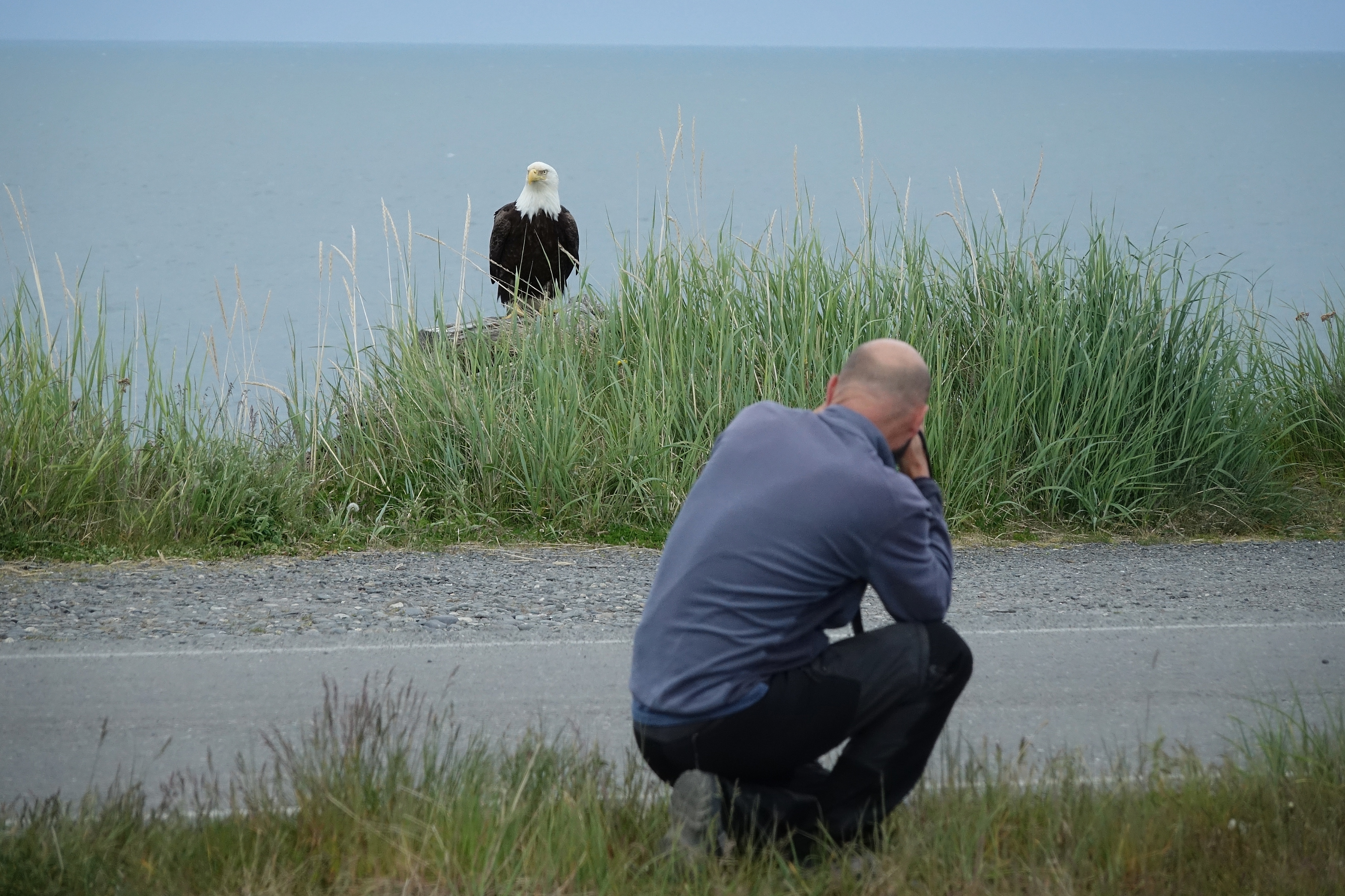 Manu photographiant un pygargue près de Homer